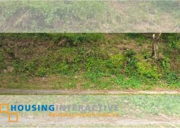 spacious lot for sale in ayala westgrove heights