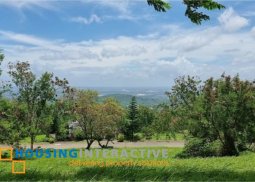 residential lot for sale in ayala greenfield estates