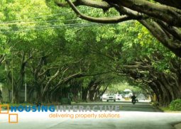 grand lot with old house for sale in dasmariÑas village