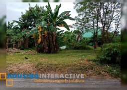 residential lot for sale in katarungan village