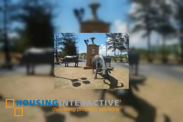 commercial lot for lease in carmona, cavite