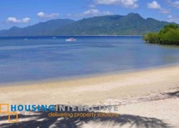 vacant lot for sale in porto laiya