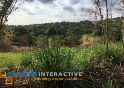 residential vacant lot for sale in antipolo city