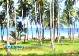 paradisal & grand private beachfront island for sale in puerto princesa
