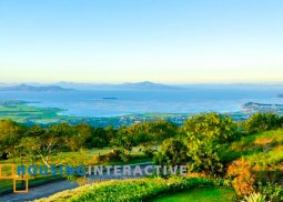 grand residential lot for sale in ayala greenfield estates