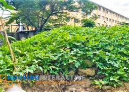 spacious commercial lot for sale in quezon city