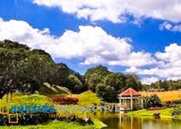 airy residential lot for sale in ayala westgrove heights