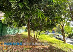 residential lot for sale in mckinley hill village