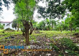 residential lot for sale in bf homes las piÑas