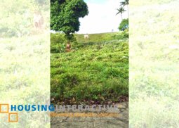 for sale: agricultural lot in brgy. asisan, tagaytay