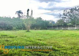 spacious residential lot for sale in greenmeadows