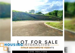 for sale- vacant lot in silang cavite