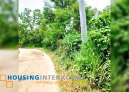 spacious farm land for sale in san miguel, bulacan