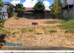 airy residential lot for sale in paranaque