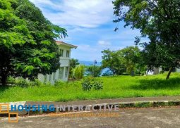 spacious lot in terazzas de punta fuego