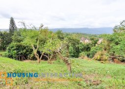 for sale- adjacent vacant residencial lots