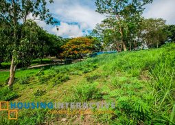 lot for sale at terrazas de punta fuego