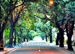 grand lot with old structure for sale in new manila