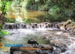 spacious land for sale in palawan