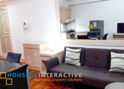 for rent -1br in bsa suites