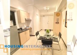 1 br fully furnised condo unit