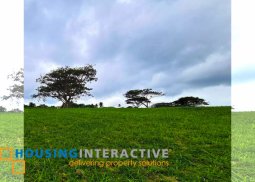 spacious corner residential lot for sale in ayala greenfield estates