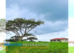 grand lot for sale in ayala greenfield estates