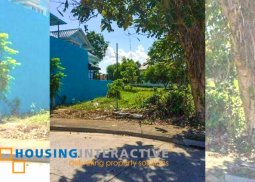 residential lot for sale in villa caceres