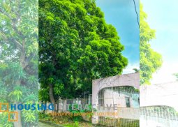 for sale- lot in san jose village