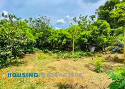 spacious residential lot for sale in silang, cavite