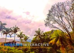 spacious land for sale in tolentino, tagaytay