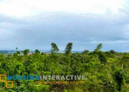 agricultural lot for sale in carmona, cavite