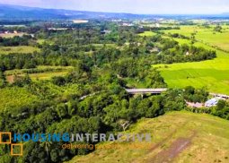 prime agricultural lot in naic, cavite