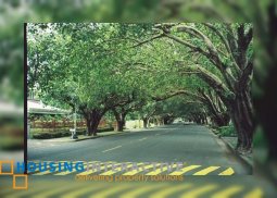 4br for rent in dasmariñas village, makati