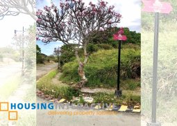 spacious lot for sale in la playa