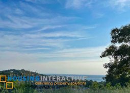 spacious lot for sale in peninsula de punta fuego