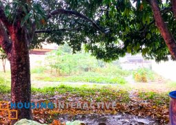 lot for sale in ayala alabang village