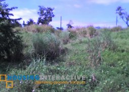 lot for sale in plantation hills tagaytay