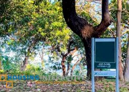 lot for sale in anvaya cove