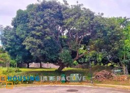 prime lot for sale in ayala westgrove heights