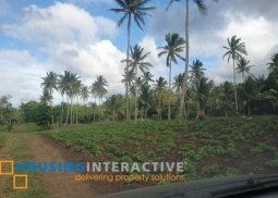 spacious farm lot for sale in alfonso, cavite