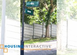 residential lot for sale at ayala greenfield estates