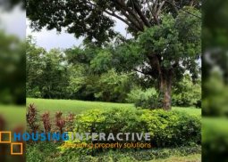 prime lot for sale in plantation hills village