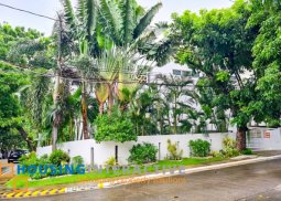 house and lot for sale in hillsborough village