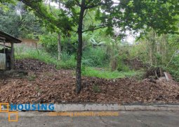 residential lot for sale in mountain view
