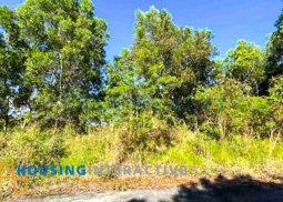 grand lot for sale in eastland heights