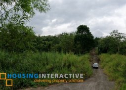 grand lot for sale in eastland heights