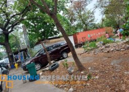 spacious commercial lot for lease in san antonio, ortigas