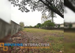 grand lot for sale in hillsborough