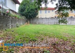 prime lot for sale in hillsborough